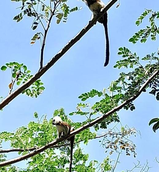 پانسیون Akuaippa Hostal Restaurant