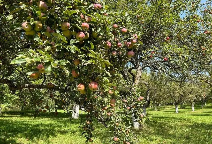 پانسیون Casa Armonia