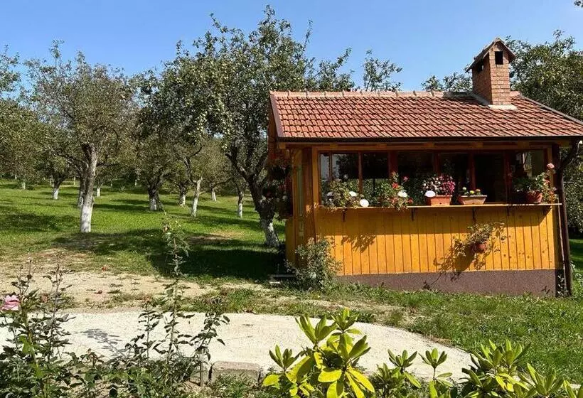 پانسیون Casa Armonia