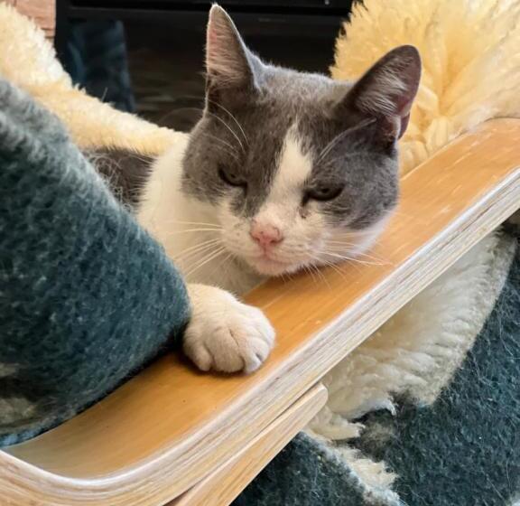 پانسیون Casa Armonia