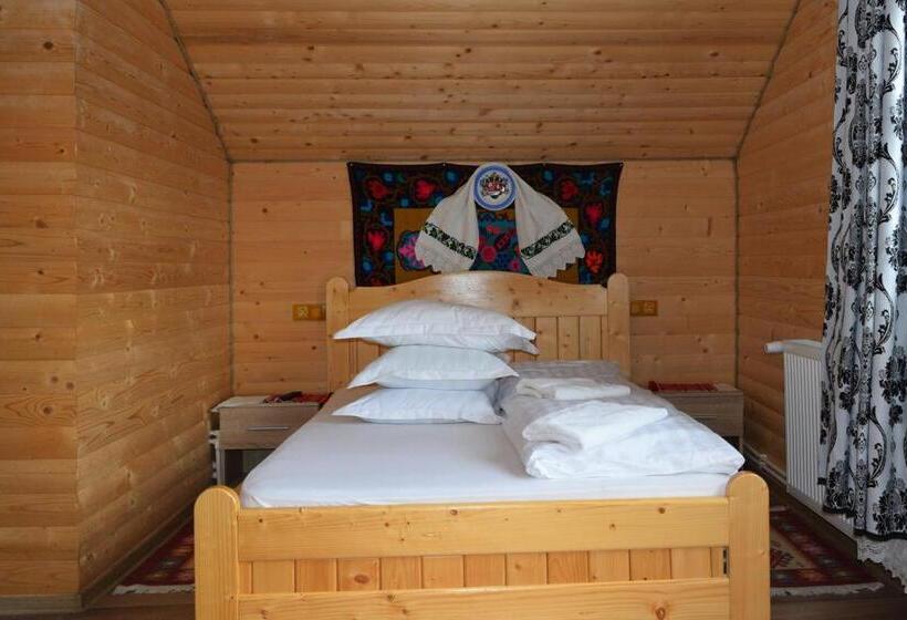 Пансион Casa Vladicu