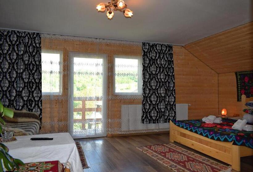 Пансион Casa Vladicu