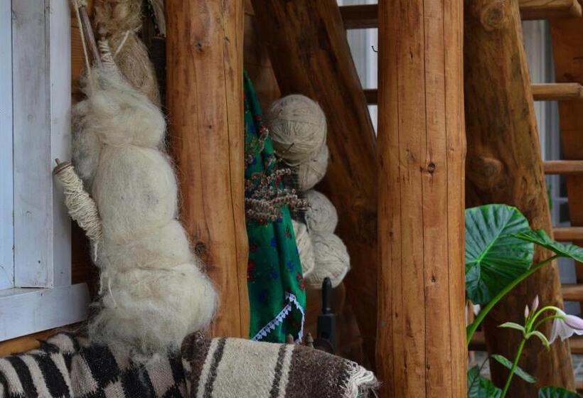 Пансион Casa Vladicu