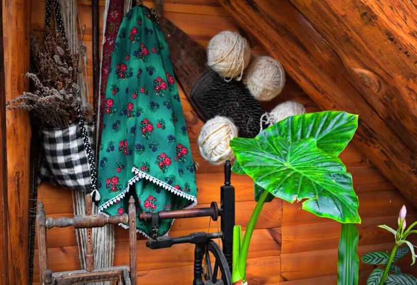 Пансион Casa Vladicu