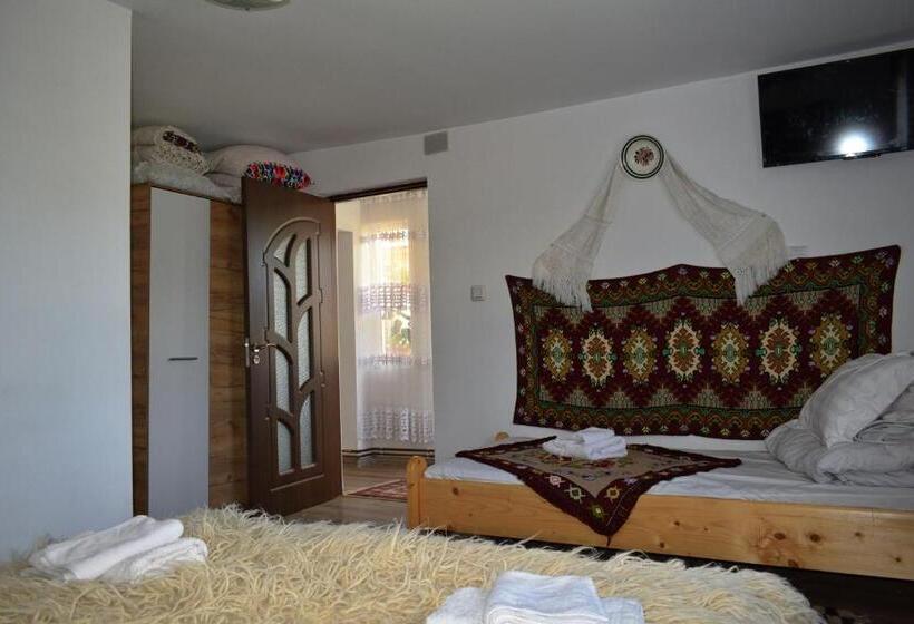 Пансион Casa Vladicu