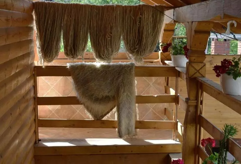 Majatalo Casa Vladicu