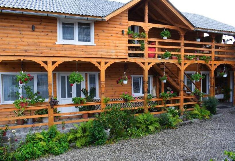 Пансион Casa Vladicu