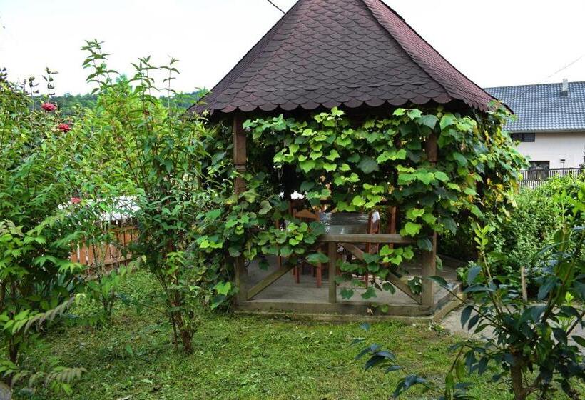 Пансион Casa Vladicu