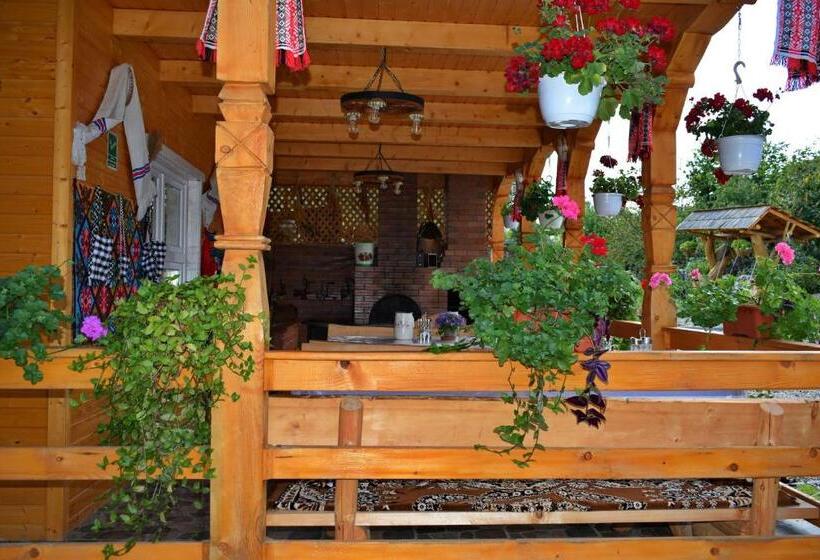 Пансион Casa Vladicu