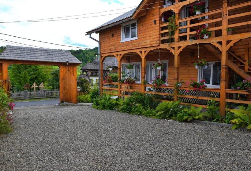 Пансион Casa Vladicu