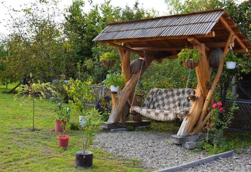 Пансион Casa Vladicu