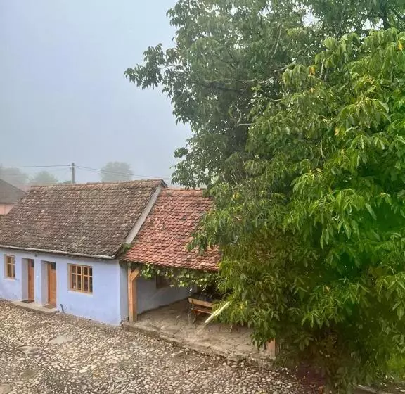 ペンション Haus Rether Transylvanian Guesthouse