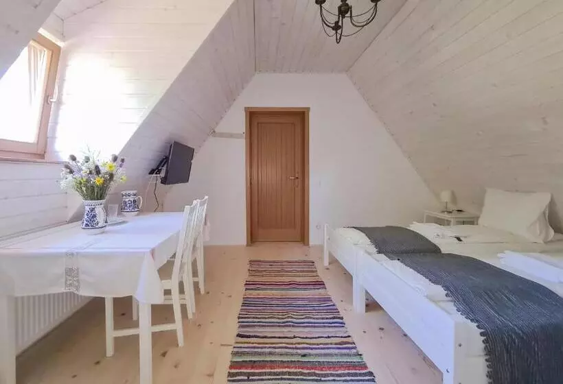 ペンション Haus Rether Transylvanian Guesthouse