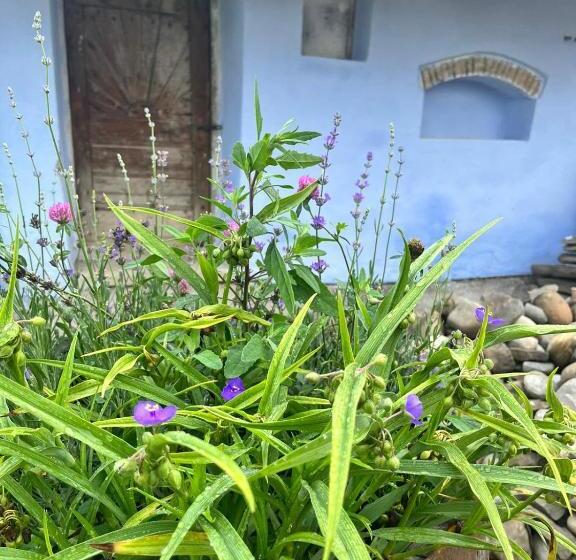 膳宿费 Haus Rether   Transylvanian Guesthouse