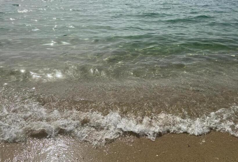 פנסיון Neversea Black Sea