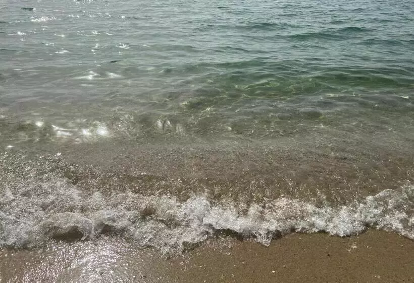 ペンション Neversea Black Sea