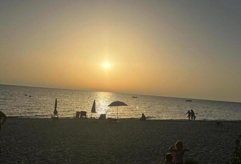 פנסיון Neversea Black Sea