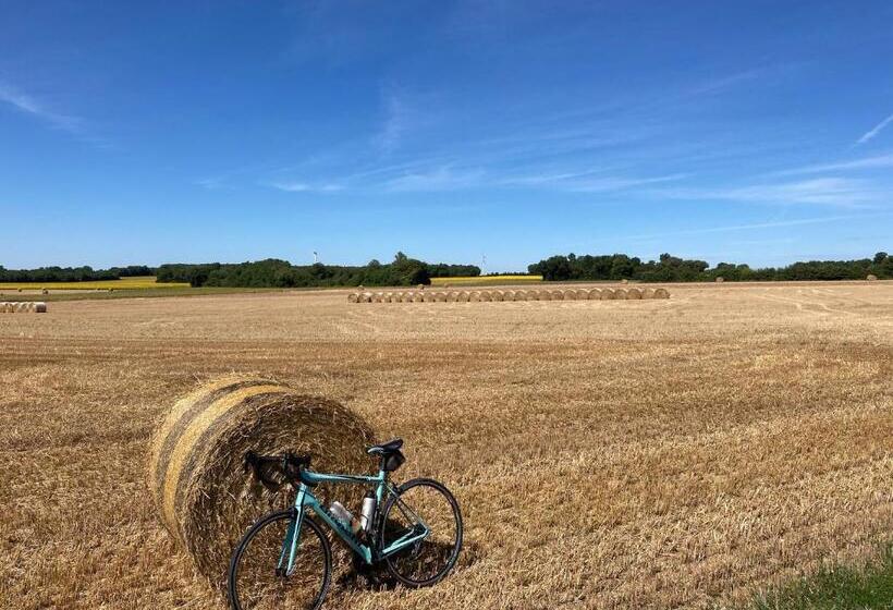 Bed and Breakfast La Ruche
