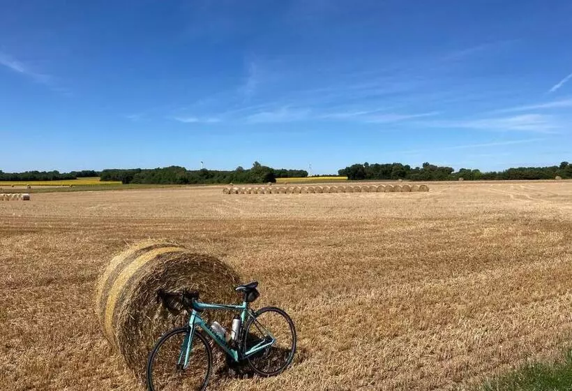 Aamiaismajoitus (B&B) La Ruche