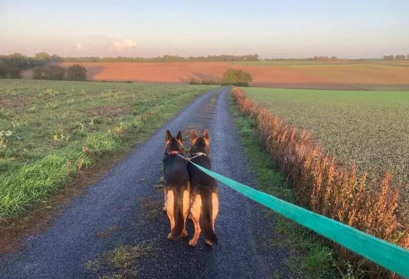 Aamiaismajoitus (B&B) La Ruche