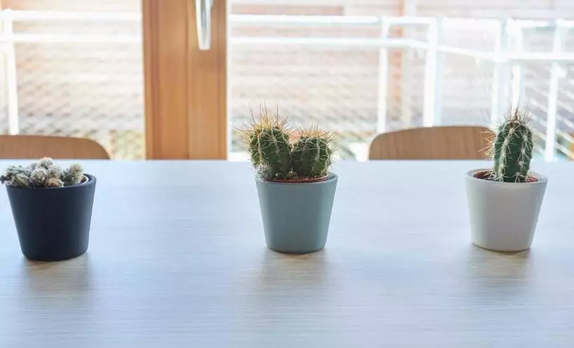 La Ferme Des Ailleurs