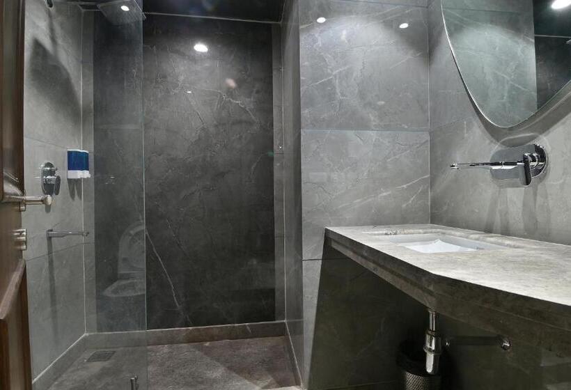 Newly Built Hotel Sapphire House Paharganj  5mins Walk From Railway Station And Metro Station