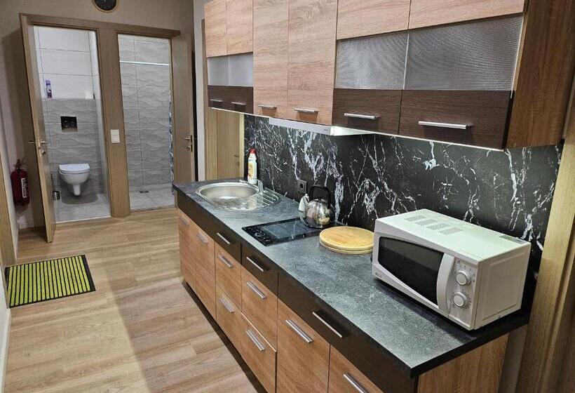 پانسیون Kauno Apartamentai Su Balkonu