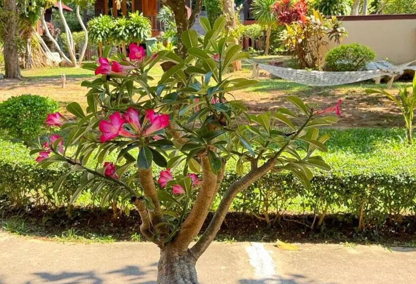 Samed Garden Resort