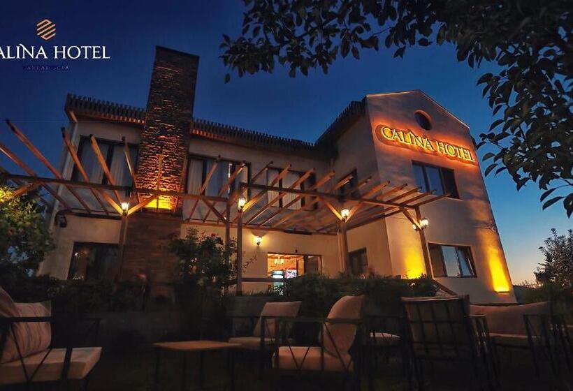 هتل Calina