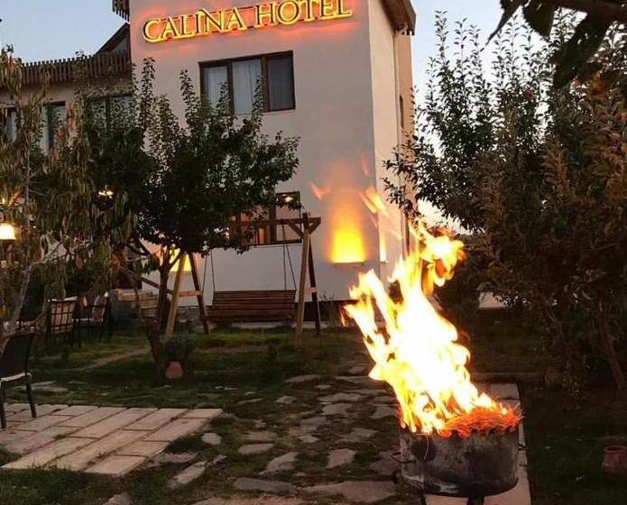 هتل Calina