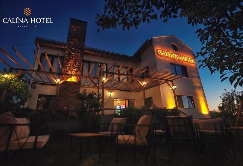 هتل Calina