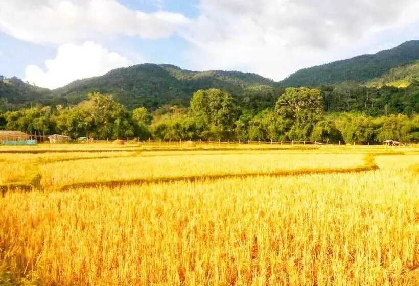 Hotelli เวียงสว้า Vieng Sava บ่อเกลือ