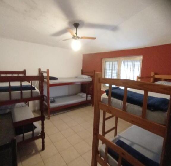 Kanaloa Hostel Ubatuba