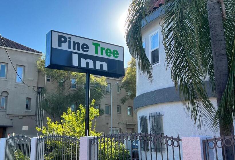 モーテル Pine Tree Inn