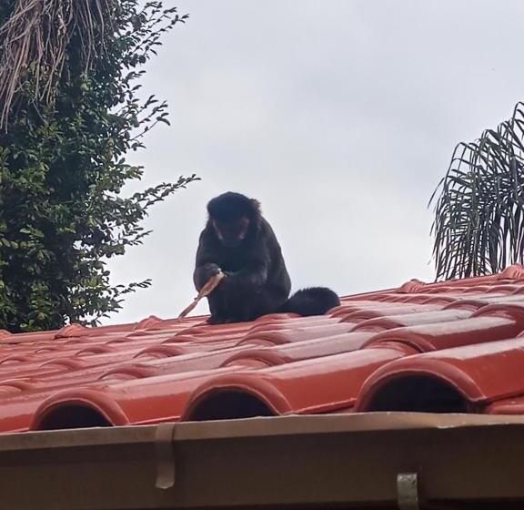 بنسيون Casa Do Mirante Quarto 101