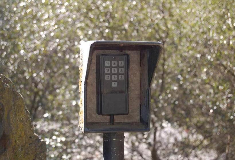 ペンション Chili Bar Casita