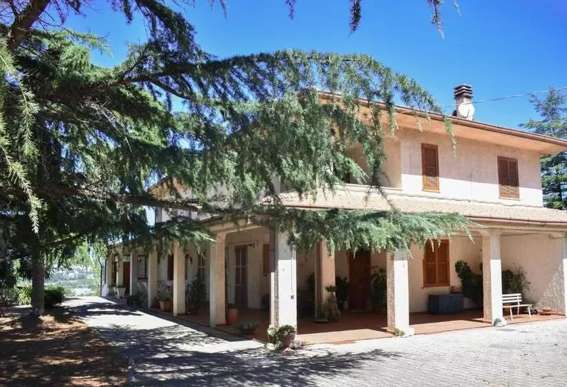پانسیون Villa Bianca