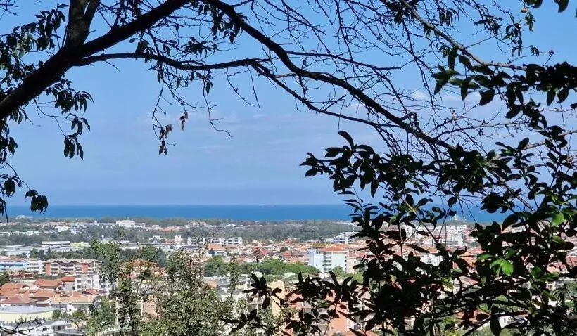 پانسیون Villa Bianca