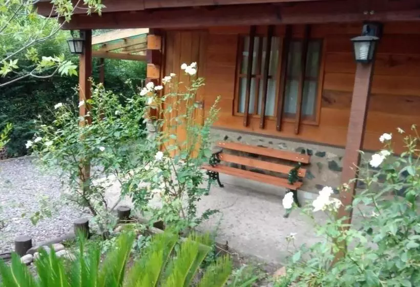 ユースホステル Cabañas Brisas Del Bosque