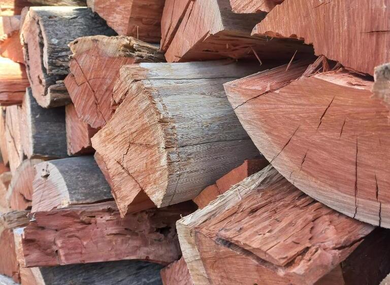 فندق صغير Cabañas Brisas Del Bosque