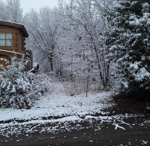 فندق صغير Cabañas Brisas Del Bosque