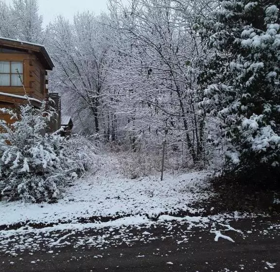 ユースホステル Cabañas Brisas Del Bosque