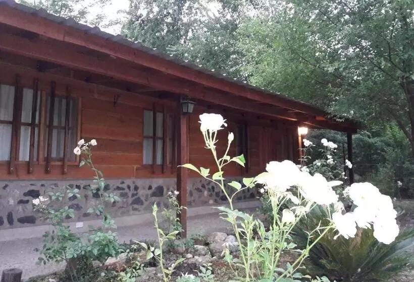 ユースホステル Cabañas Brisas Del Bosque