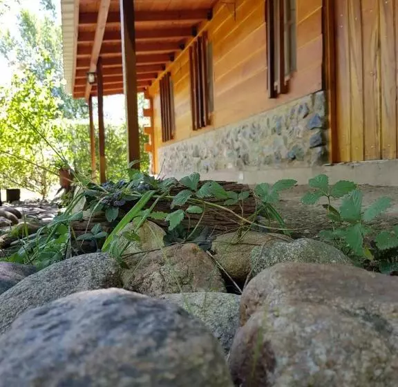 ユースホステル Cabañas Brisas Del Bosque