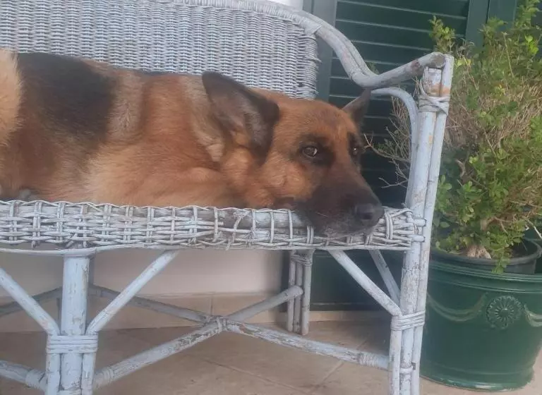 B&b Il Giardino Ritrovato