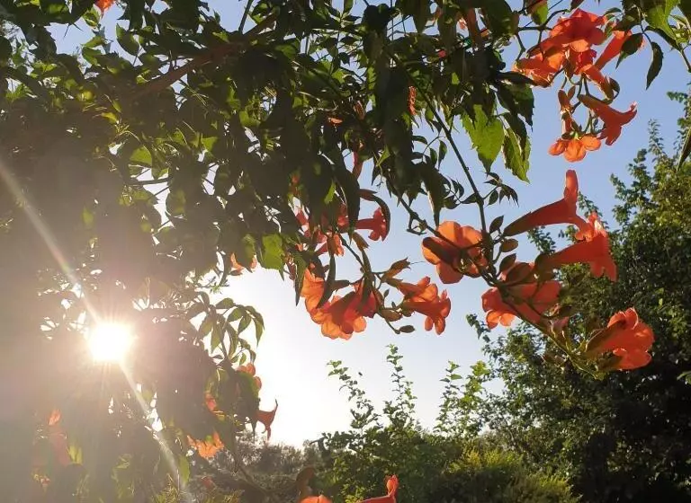 B&b Il Giardino Ritrovato