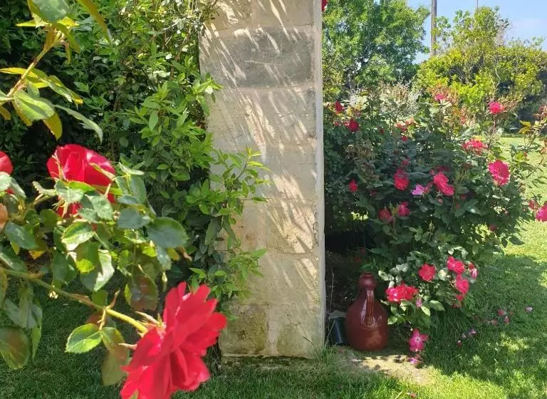 B&b Il Giardino Ritrovato