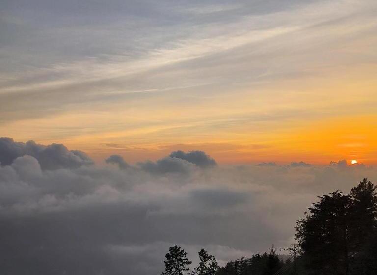 Bed and Breakfast Cedar Cottage