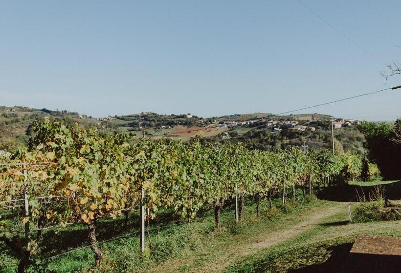 ベッドアンドブレックファースト Pratelli6