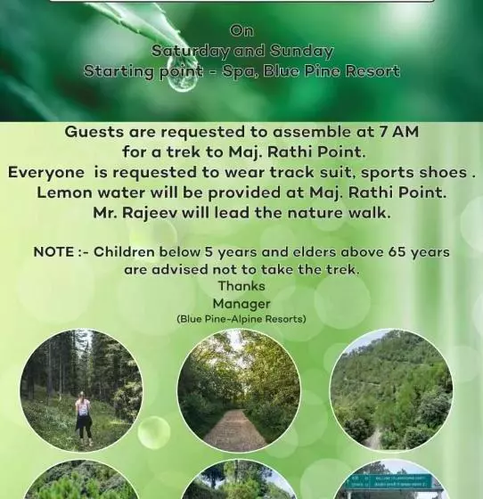Blue Pine Resort